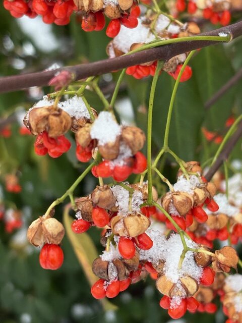 Take a Walk with Me!