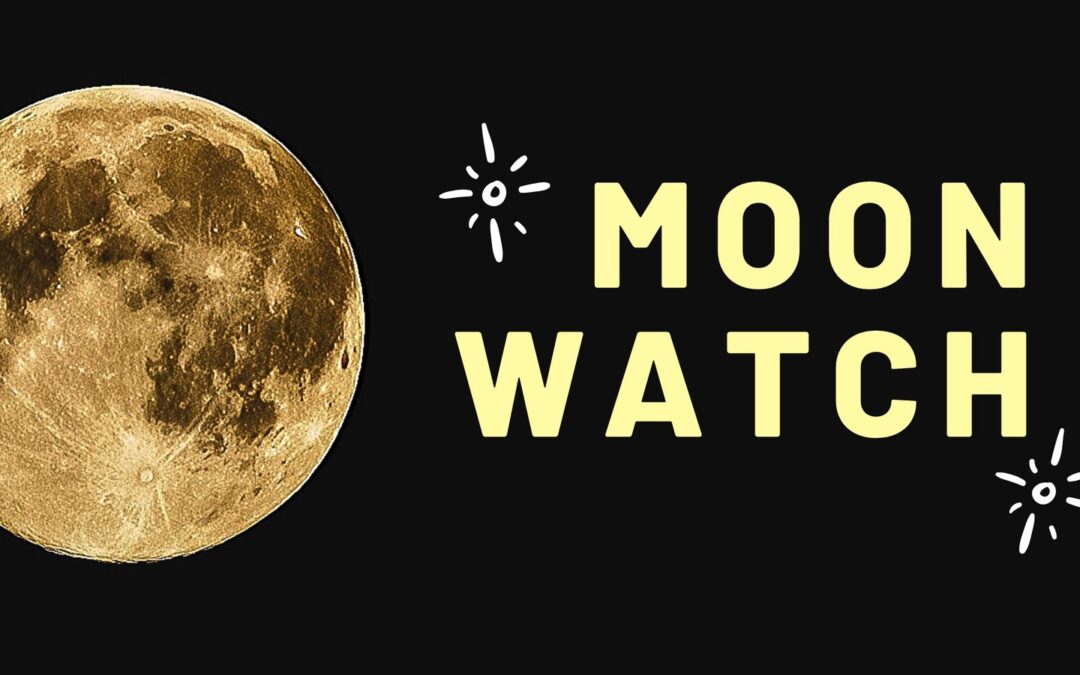 Lunar Eclipse!